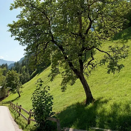 Blick Zum Appartement Mayrhofen